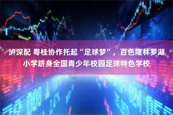 泸深配 粤桂协作托起“足球梦”，百色隆林罗湖小学跻身全国青少年校园足球特色学校